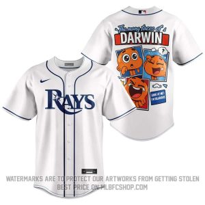 Limited Edition - Tampa Bay Rays